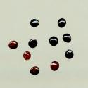 Img.VTax2121.ExN.Img10