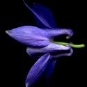 Img.VTax215.ExN.Img17