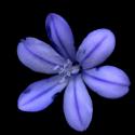 Img.VTax3519.ExN.Img7