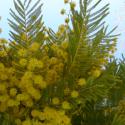 Img.VTax541.ExN.Img8