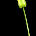 Img.VTax1007.ExN.Img7