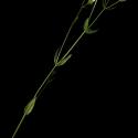 Img.VTax2265.ExN.Img5