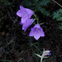 Img.VTax2946.ExN.Img22