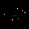 Img.VTax2951.ExN.Img10