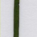 Img.VTax1145.ExN.Img10