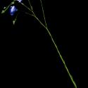 Img.VTax1405.ExN.Img10