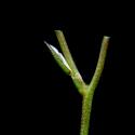 Img.VTax1405.ExN.Img17