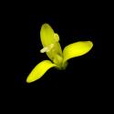 Img.VTax1432.ExN.Img9