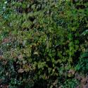 Img.VTax1491.ExN.Img9