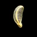 Img.VTax1581.ExN.Img7