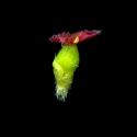 Img.VTax1668.ExN.Img7