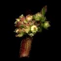 Img.VTax1708.ExN.Img8