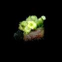 Img.VTax1708.ExN.Img9