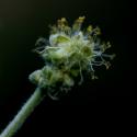 Img.VTax1717.ExN.Img7
