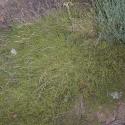 Img.VTax1961.ExN.Img13