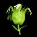 Img.VTax2026.ExN.Img8