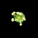 Img.VTax2072.ExN.Img7
