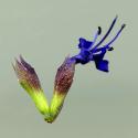 Img.VTax2485.ExN.Img3