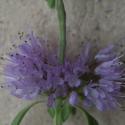 Img.VTax2514.ExN.Img6