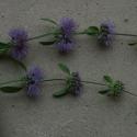 Img.VTax2514.ExN.Img9