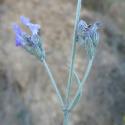 Img.VTax2524.ExN.Img3