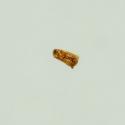Img.VTax2645.ExN.Img4