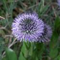 Img.VTax2779.ExN.Img2