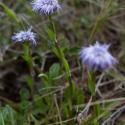 Img.VTax2779.ExN.Img4