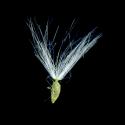 Img.VTax3370.ExN.Img8