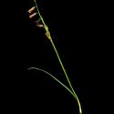 Img.VTax3559.ExN.Img9