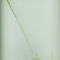 Img.VTax3875.ExN.Img3