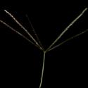 Img.VTax4165.ExN.Img7