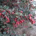 Img.VTax516.ExN.Img9