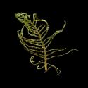 Img.VTax920.ExN.Img1