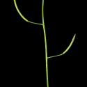 Img.VTax1005.ExN.Img14