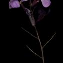 Img.VTax1114.ExN.Img23