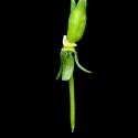 Img.VTax1223.ExN.Img9