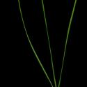 Img.VTax130.ExN.Img4