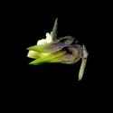 Img.VTax1309.ExN.Img10