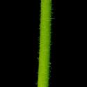 Img.VTax1312.ExN.Img7