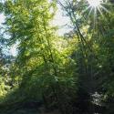 Img.VTax1352.ExN.Img2