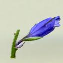 Img.VTax1465.ExN.Img2