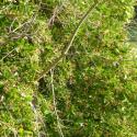Img.VTax1477.ExN.Img6