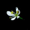 Img.VTax1509.ExN.Img7