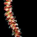 Img.VTax1669.ExN.Img9