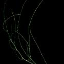 Img.VTax17.ExN.Img19