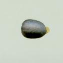Img.VTax1731.ExN.Img14