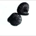 Img.VTax1851.ExN.Img1