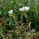 Img.VTax1915.ExN.Img7