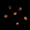 Img.VTax2013.ExN.Img13